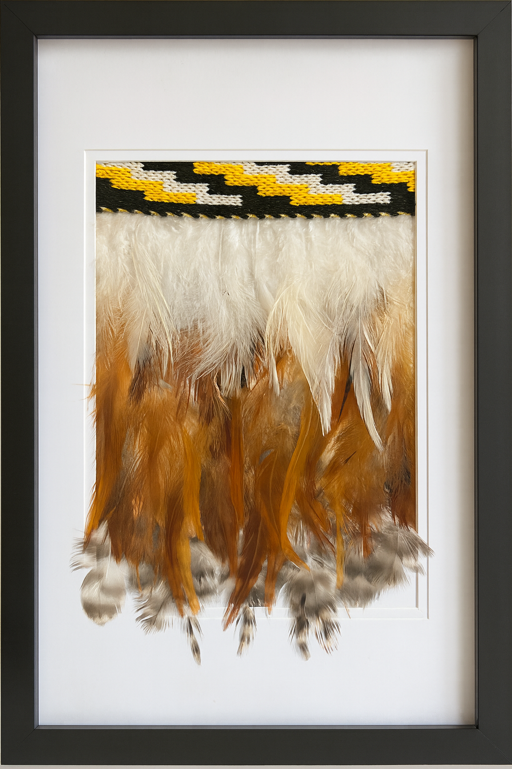 Framed Kakahu